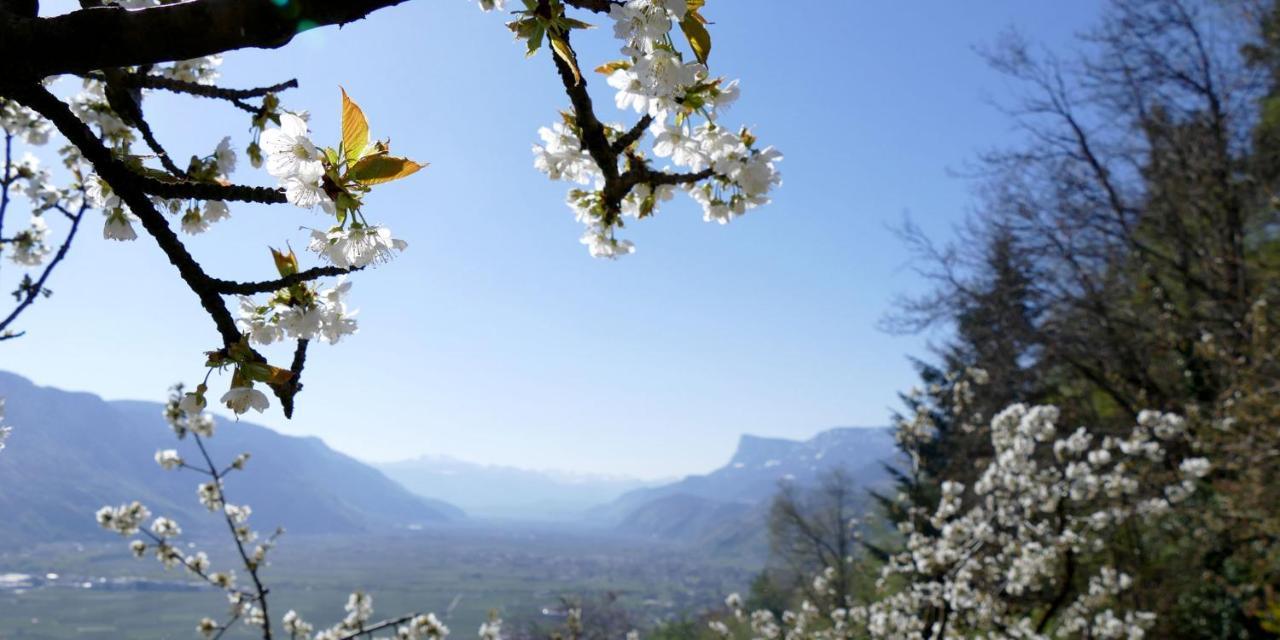 Der Luemerhof Marling Exteriör bild